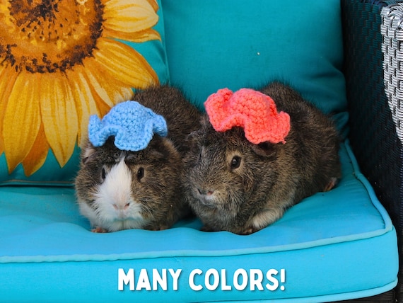 crochet guinea pig top hat