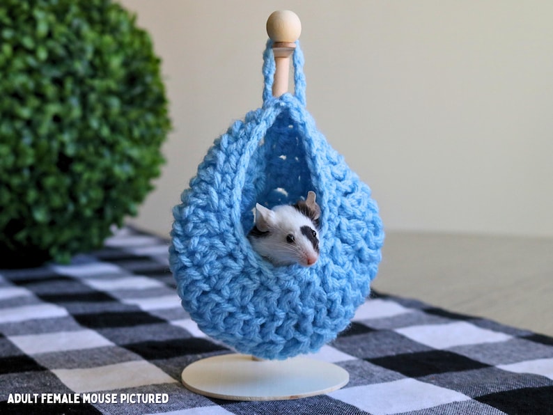May include: A blue crocheted hanging bed for small pets, such as mice or hamsters. The bed is suspended from a wooden dowel and has a small mouse inside.