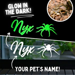 Glow in the Dark Custom Pet Spider Name Cage Sticker for Spider Enclosure Sticker for Jumping Spider Decal for Spider Name Sticker for Cage