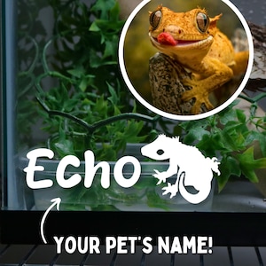Adesivo con nome Crested Gecko per accessori per recinti Crested Gargoyle per acquari di lucertole Adesivi per lucertole Adesivo con nome personalizzato per acquari di rettili