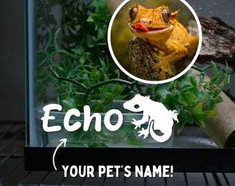 Crested Gecko Name Decal for Crested Gargoyle Enclosure Accessories for Lizard Tank Stickers for Lizard Custom Name Sticker for Reptile Tank