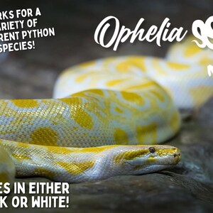 May include: A close-up of a yellow and white python snake with the text "Ophelia" written above it. The text "WORKS FOR A VARIETY OF DIFFERENT PYTHON SPECIES!" is in the top left corner of the image. The text "COMES IN EITHER BLACK OR WHITE!" is in the bottom left corner of the image.