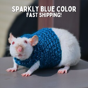 May include: A white rat wearing a sparkly blue sweater. The rat is looking up at the camera. The text "Sparkly Blue Color Fast Shipping!" is written above the rat.