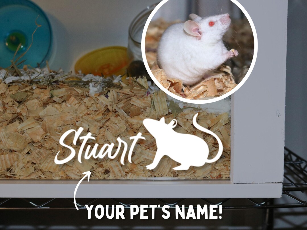 Mouse Name Decal for Fancy Mouse Cage Accessory for Mouse Enclosure ...