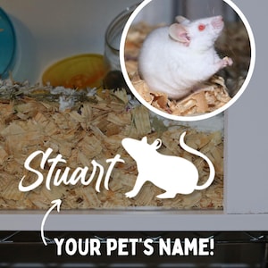 Mouse Name Decal for Fancy Mouse Cage Accessory for Mouse Enclosure Sticker for Small Pet Custom Name Sticker for Rodent Cage Name Sticker