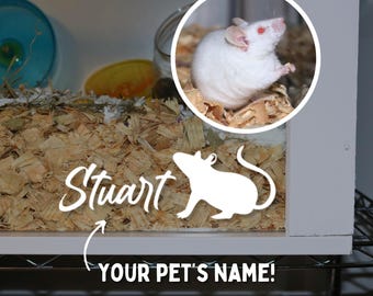 May include: A white mouse with red eyes is pictured in a clear plastic container. The mouse is sitting on wood shavings. The container is labeled "Stuart" with a white silhouette of a mouse. The text "YOUR PET'S NAME!" is below the container.