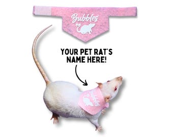 Rat Name Bandana for Pet Rat Clothing for Fancy Rat Accessory for Small Pet Clothing for Rat Bandana, Rat Owner Gift Custom Pet Name Bandana