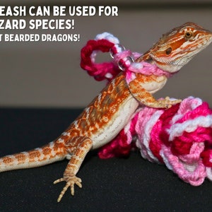 May include: A pink and white crocheted leash with a metal ring, worn by a bearded dragon lizard. The text "THIS LEASH CAN BE USED FOR ALL LIZARD SPECIES! NOT JUST BEARDED DRAGONS!" is visible in the image.