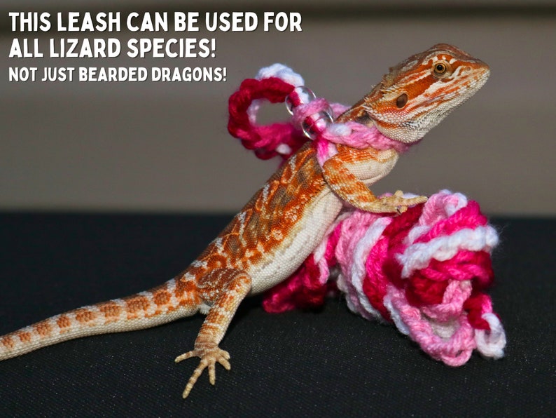 May include: A pink and white crocheted leash with a metal ring, worn by a bearded dragon lizard. The text "THIS LEASH CAN BE USED FOR ALL LIZARD SPECIES! NOT JUST BEARDED DRAGONS!" is visible in the image.