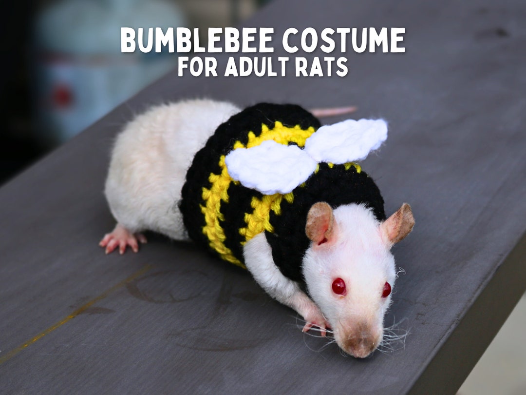 RATS KNIT BELET - メルカリ