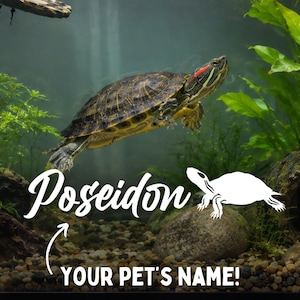 Könnte beinhalten: Eine Rotwangen-Schmuckschildkröte schwimmt in einem Aquarium mit grünen Wasserpflanzen und einem kiesigen Bodengrund. Das Bild zeigt den weißen Schriftzug Poseidon, eine weiße Schildkrötensilhouette und den Text YOUR PET'S NAME mit Pfeil.