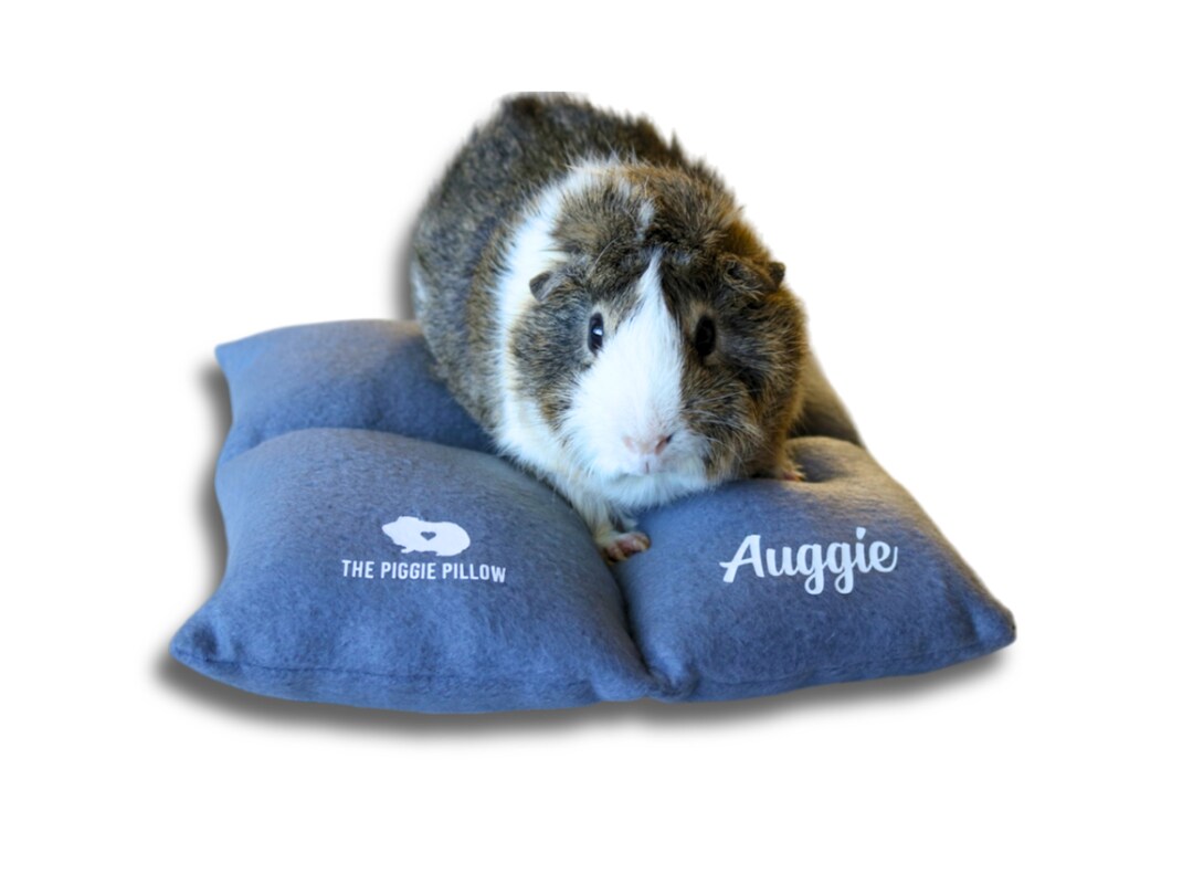 Picture of Guinea Pig Bed for Guinea Pig Cage Accessory for Skinny Pig Bed for ...