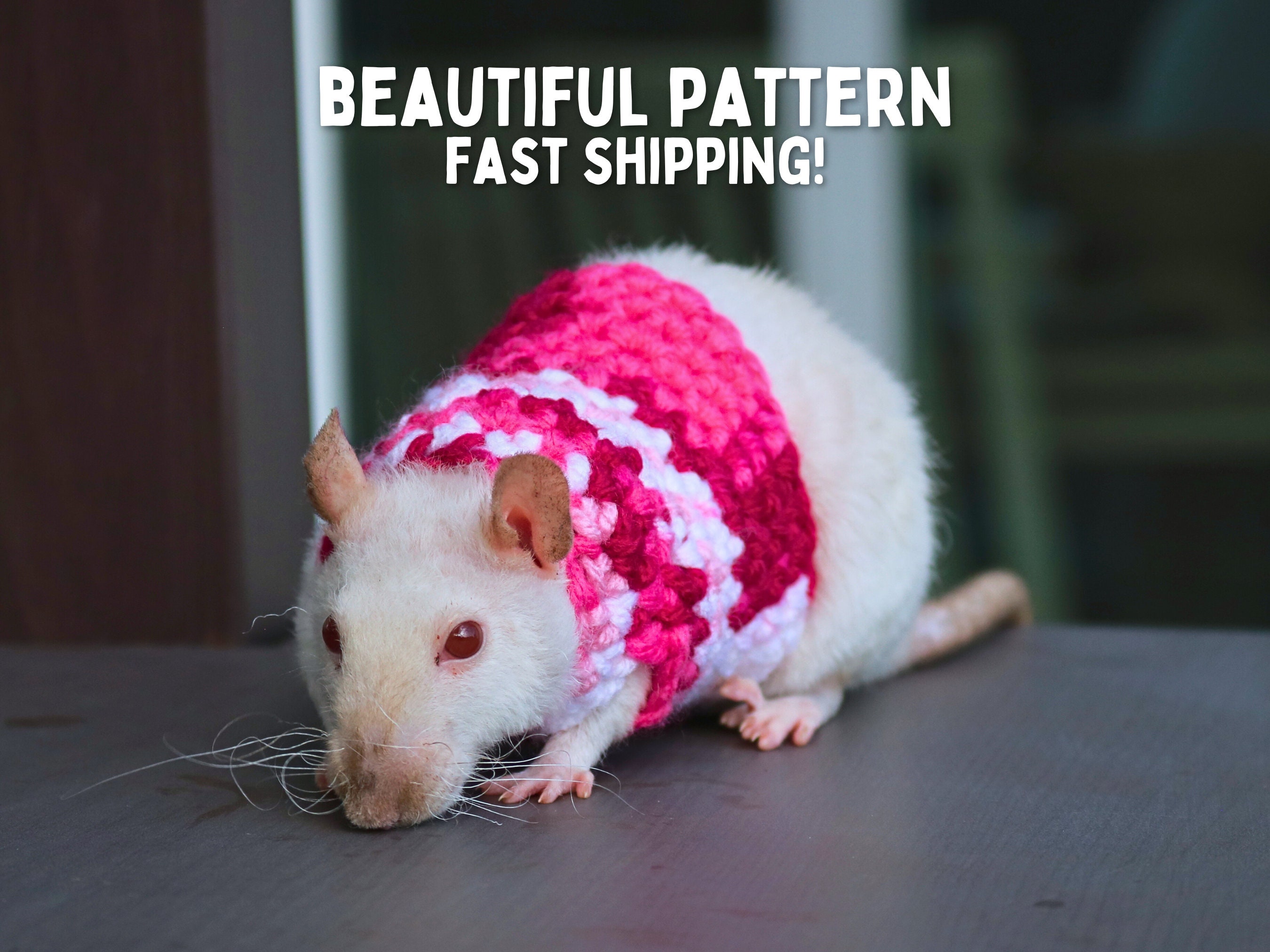 Rat Sweater for Rat Crochet Sweater for Small Pet Sweater for 