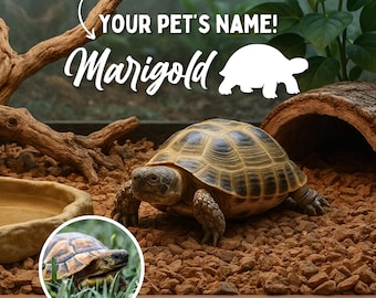 Calcomanía con nombre de tortuga para recintos de tortugas. Accesorios para tortugas rusas, sulcatas y tortugas de patas rojas. Calcomanía para recintos de tortugas.