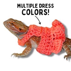Bearded Dragon Dress for Bearded Dragon Clothing for Reptile Clothing and Accessory for Bearded Dragon Sweater for Bearded Dragon Outfit