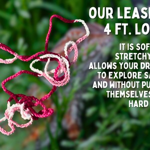 May include: A pink and white stretchy leash for a pet dragon, 4 feet long. The leash is soft and stretchy, allowing the dragon to explore safely and without pulling themselves to a hard stop.