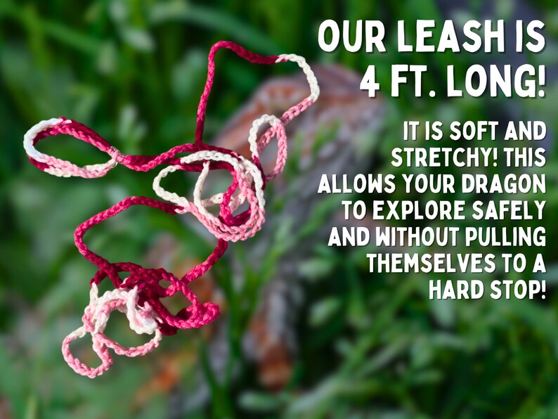 May include: A pink and white stretchy leash for a pet dragon, 4 feet long. The leash is soft and stretchy, allowing the dragon to explore safely and without pulling themselves to a hard stop.