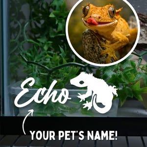 Adesivo con nome Crested Gecko per accessori per recinti Crested Gecko per acquari per lucertole Adesivi per lucertole Adesivo con nome personalizzato per acquari per rettili