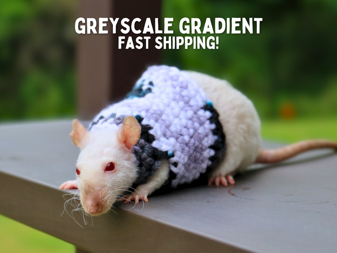 Rat Sweater for Rat Crochet Sweater for Small Pet Sweater for