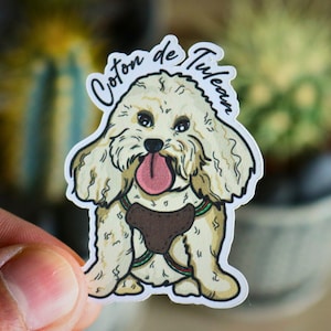 Coton de Tulear Sticker, Dog Sticker Art, Cute Pet Sticker, Pet Stickers, Coton de Tulear Art, Scrapbook, Custom Dog Drawing, Sticker Decals