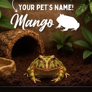 Pacman Frog Name Decal for Frog Enclosure Accessories for Pacman Frog Tank Stickers for Amphibian Custom Name Sticker for Horned Frog Tanks