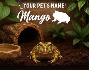 Pacman Frog Name Decal for Frog Enclosure Accessories for Pacman Frog Tank Stickers for Amphibian Custom Name Sticker for Horned Frog Tanks