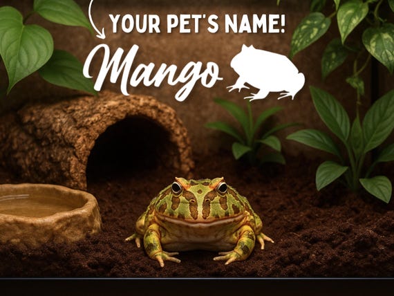 Pacman Frog Name Decal for Frog Enclosure Accessories for Pacman