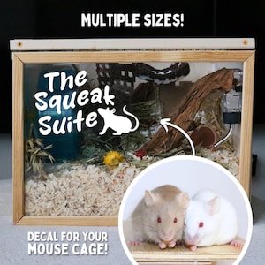 Small Pet Cage Decal for Fancy Mouse Cage Accessory for Mouse Enclosure Sticker for Small Pet Cage Accessory for Cute Rodent Cage Sticker