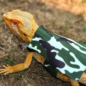 May include: A yellow and orange bearded dragon wearing a camouflage patterned vest. The dragon is on a bed of dry grass.