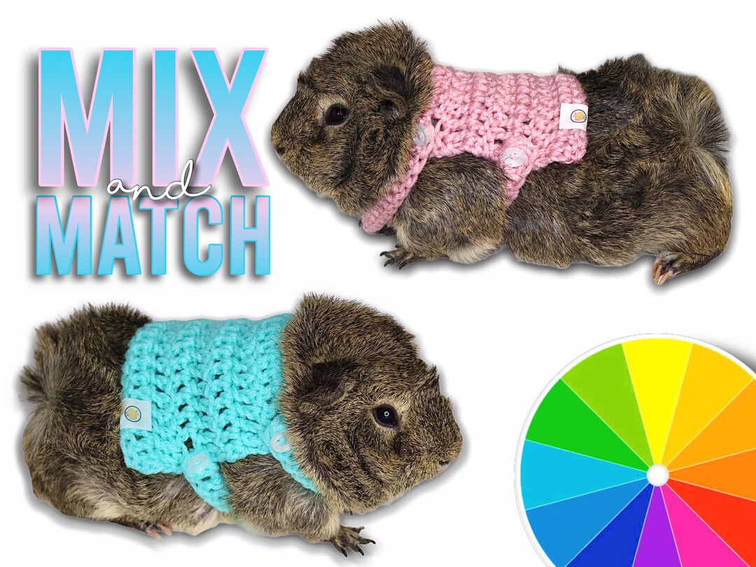 Guinea Pig Sweater for Pets Clothes for Pet Guinea Pig Etsy