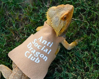 May include: A tan-colored bearded dragon wearing a tan vest with the words "Anti Social Dragon Club" in white. The lizard is on green grass, with its head and front legs visible.