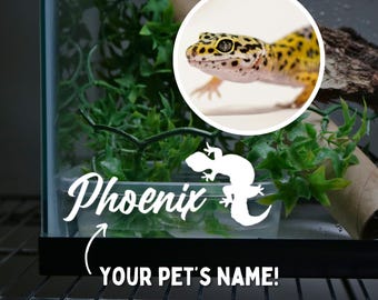 Leopardgecko Name Aufkleber für Leopardgecko Gehege Zubehör für Eidechse Tank Aufkleber für Eidechse Benutzerdefinierter Name Aufkleber für Reptilienpanzer