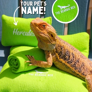 May include: A green, fleece-lined bed for bearded dragons, with the words "The Beardie Bed" embroidered on it. A bearded dragon named Hercules is lying on the bed.