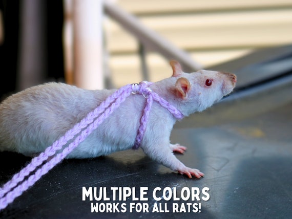 Rat Leash for Pet Rat Adjustable Leash for Rat Harness for