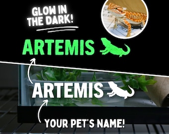 Bartagame Name Aufkleber für Bartagame Gehäuse Zubehör für Bartagame Habitat-Haustier-Aufkleber Glow in the Dark Haustierkäfig Abziehbilder