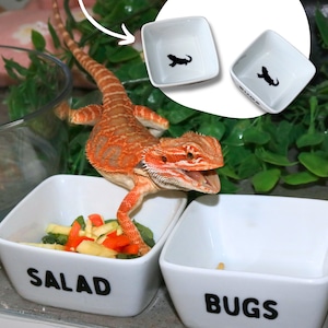 May include: Two white ceramic bowls with black text and a lizard silhouette. One bowl says "SALAD" and contains chopped vegetables. The other bowl says "BUGS".