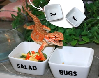Bearded Dragon Food Bowl for Reptile Feeding Dish for Bearded Dragon Bug Bowl for Reptile Escape Proof Feeding Dish for Lizard Food Bowl
