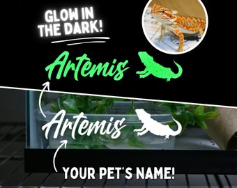 Bearded Dragon Name Decal for Bearded Dragon Enclosure Accessories for Bearded Dragon Tank Stickers for Pet Glow in the Dark Pet Cage Decals
