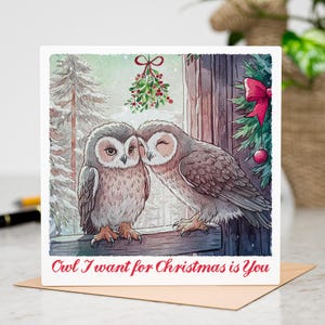 Il gufo che voglio per Natale sei tu – Biglietto di auguri per le feste con simpatici animali – Gioco di parole natalizio – Messaggio interno personalizzabile – Include busta