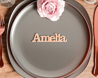 Personalised Wooden Wedding Place Names | Birch Plywood Table Name Settings