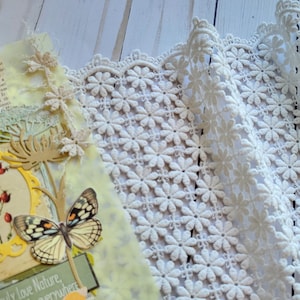 Baumwollspitze, gestickte Borte, exklusive Spitze, off-white, beige geblümte Borte