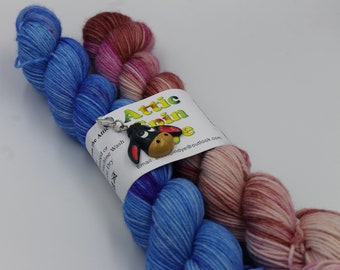 EEyore & Piglet, Sock 2x50g skeins 75% SuperWash Merino and 25 Nylon Hand Dyed Yarn 100g total