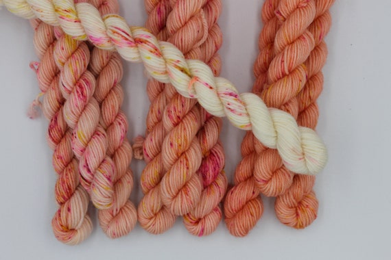 Strawberry Sorbet Sprinkles Micro Skein Fade Set Premium Sock 75/% SuperWash Merino and 25 Nylon 10 x 10g