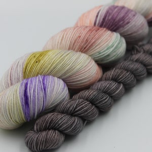 Dein Turn To Fly Sock Set 75% SuperWash Merino 25 Nylon Handgefärbte Wolle 100g + 20g