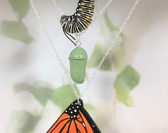 FRESH MONARCH LIFECYCLE  - handmade monarch butterfly life cycle set, a great gift idea!