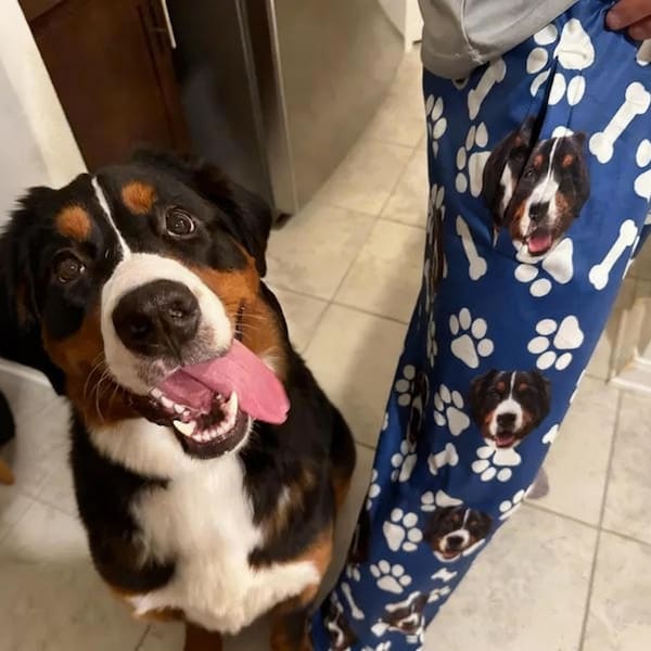 Custom Pajama Pants,Custom Dog Face Pajama,Personalized Pet Photo Pajamas,Women Pajama Pants,Papa Daddy Gifts,Christmas Gift for Dad Mom