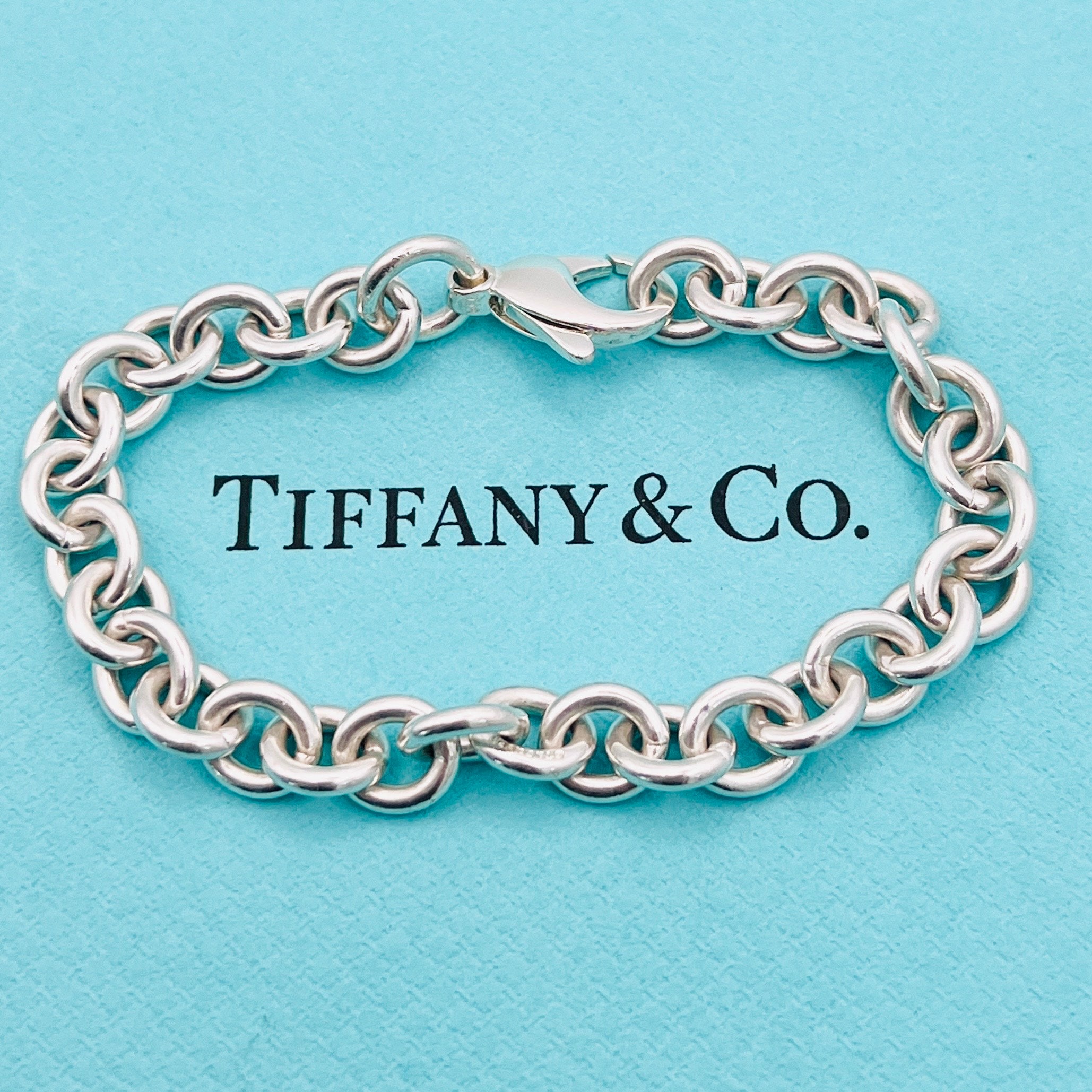 Tiffany and Co Bracelet- Small Link- Starter Charm Bracelet- 19 Cm