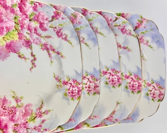 Platos de postre Royal Albert Blossom Time, porcelana fina, platos vintage, juego de 5