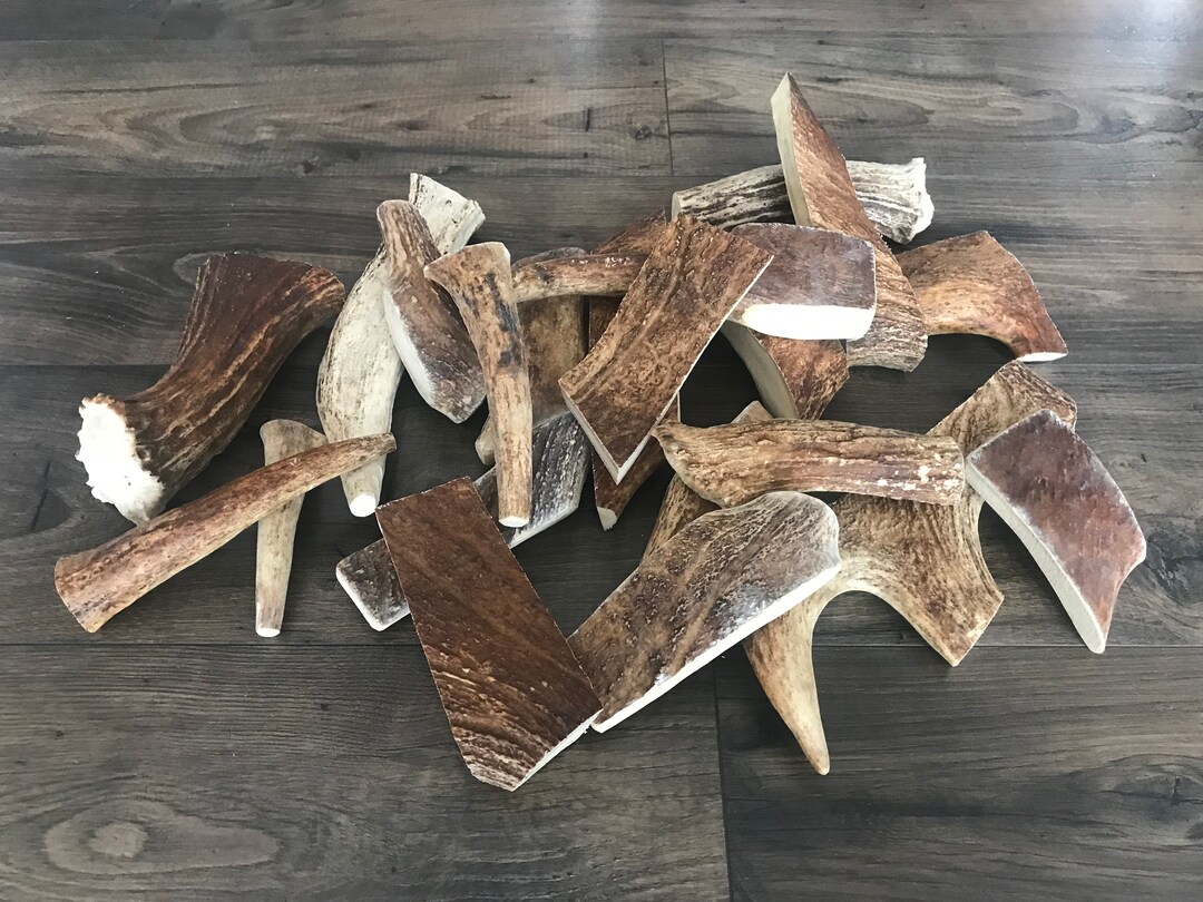 10 Pounds of Northern Maine Moose Antler Dog Chews Organic Treats