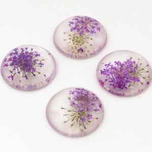 5 pezzi 25 mm rotondi fiori secchi in resina cabochon flatback per la creazione di gioielli